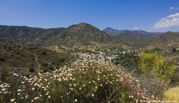 Thorn flowers and the valley of the village of Arakapas