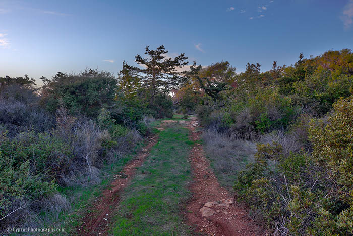 On the Curion hills